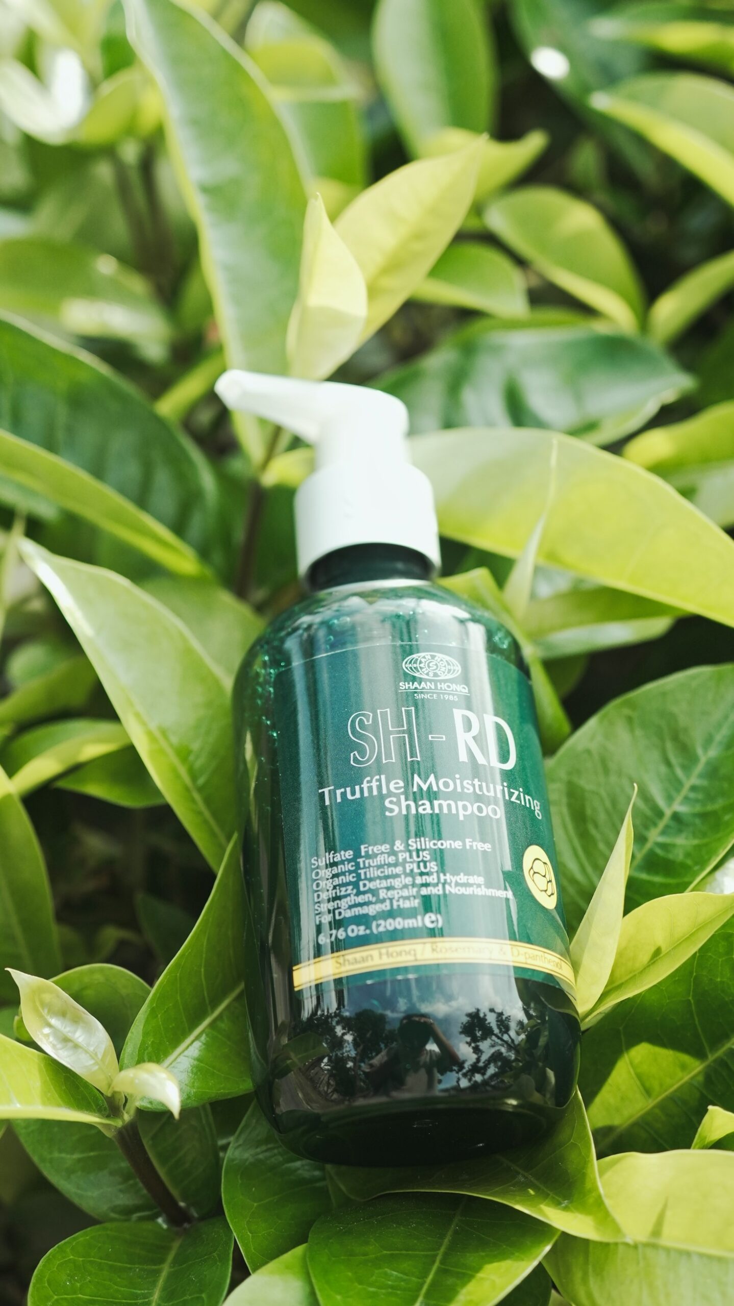 Minimera håravfall: Expertens bästa råd